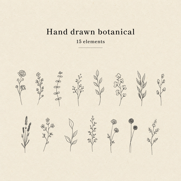 Hand drawn botanical PNG素材(Black)