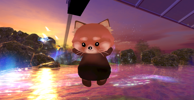 レッサーパンダ