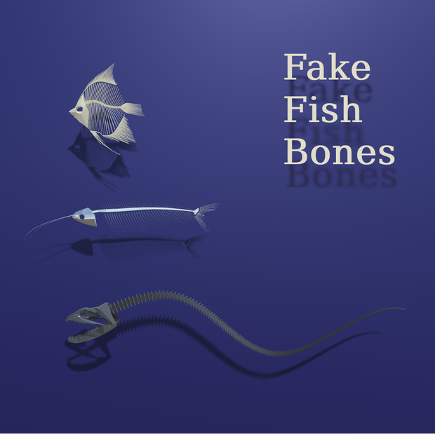 魚の骨格標本