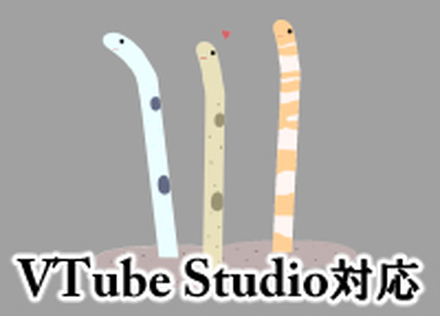  チンアナゴ