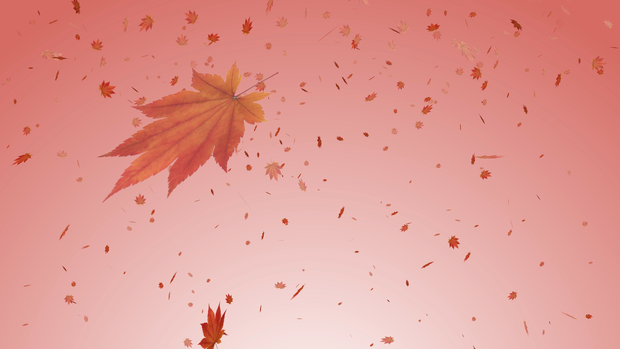 舞い散る紅葉 (4K)
