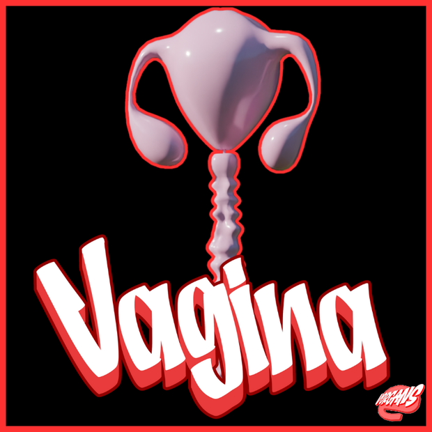 Snubby's Vorgans Vagina Internals