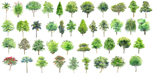 comic tree picture