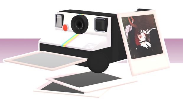 Polaroid Camera + Image