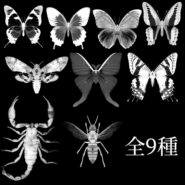 虫素材セット
