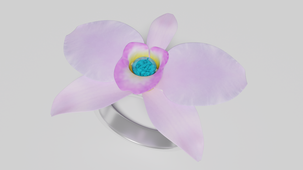 Birth Jewel Flower 12 December