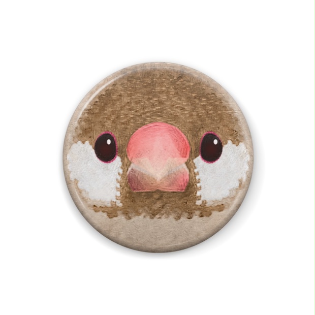 シナモン文鳥さま専用ページ シナモン文鳥 𓅨 ⠜ とても綺麗なカラーです🤍🤎 ⠀ おもち