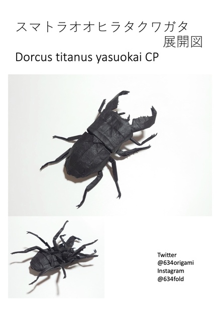 スマトラオオヒラタクワガタ 展開図 / Dorcus titanus yasuokai CP - 634origami - BOOTH