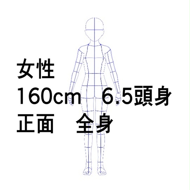 デッサン人形の線画(青色) 女性 160cm 6.5頭身 正面 全身 標準