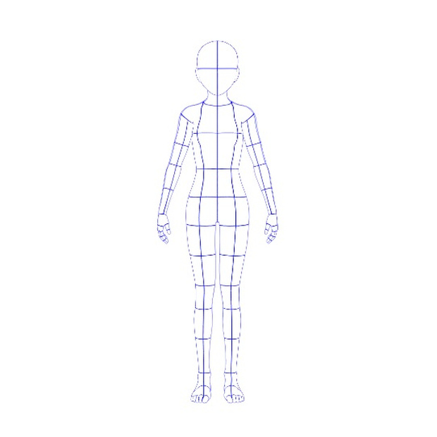 デッサン人形の線画(青色) 女性 160cm 6.5頭身 正面 全身 標準体型 背景透過