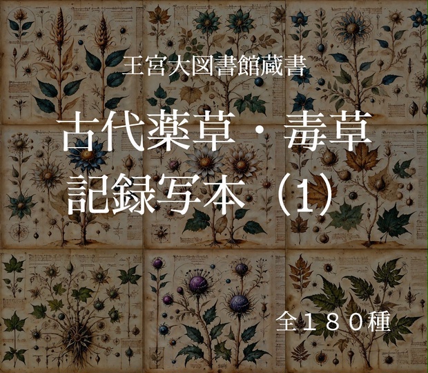 【王宮大図書館蔵書】古代薬草・毒草 記録写本（1）　１８０枚