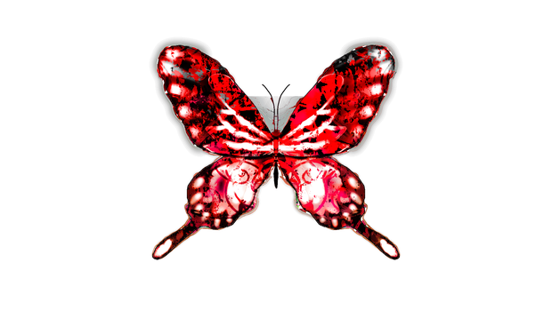 🦋蝶々🦋Butterfly🦋　透過素材だよ！！