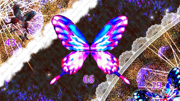 🦋蝶々🦋Butterfly🦋　透過素材ー有料版