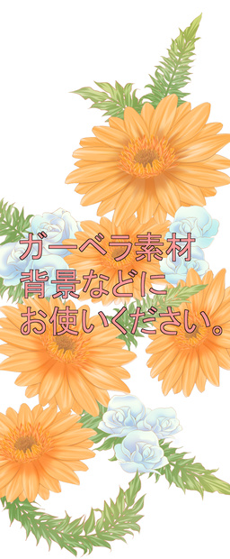 ガーベラ（素材）
