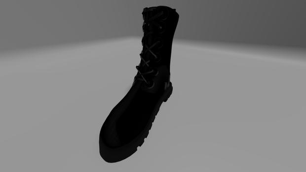Black leather boots(가죽 부츠)