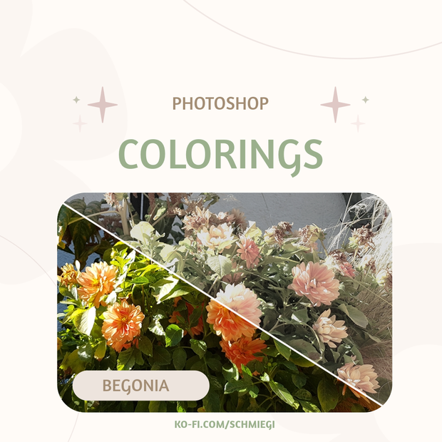 [Free Download] Begonia - Photoshop Coloring