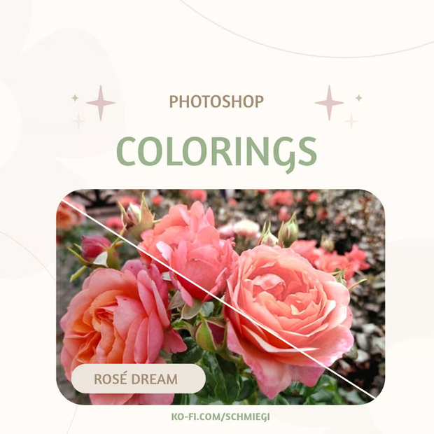 [Paid] Photoshop Coloring 5