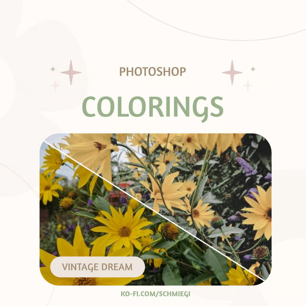 [Paid] Photoshop Coloring 6