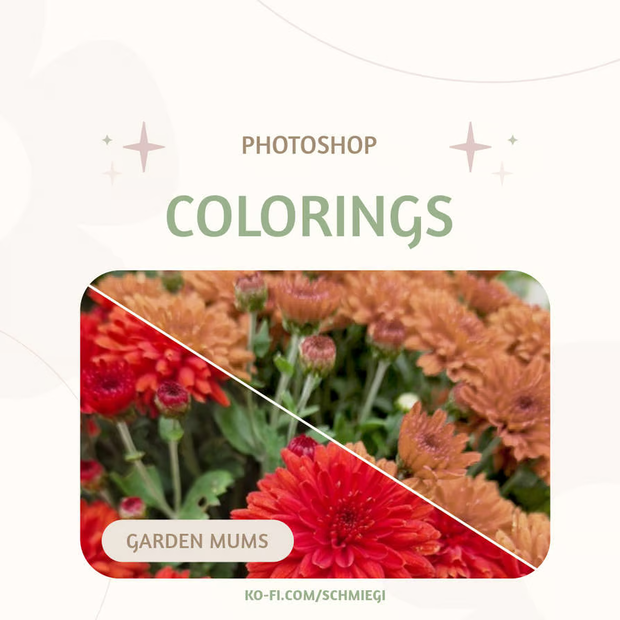 [Paid] Photoshop Coloring 8