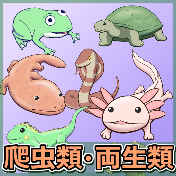 爬虫類+両生類