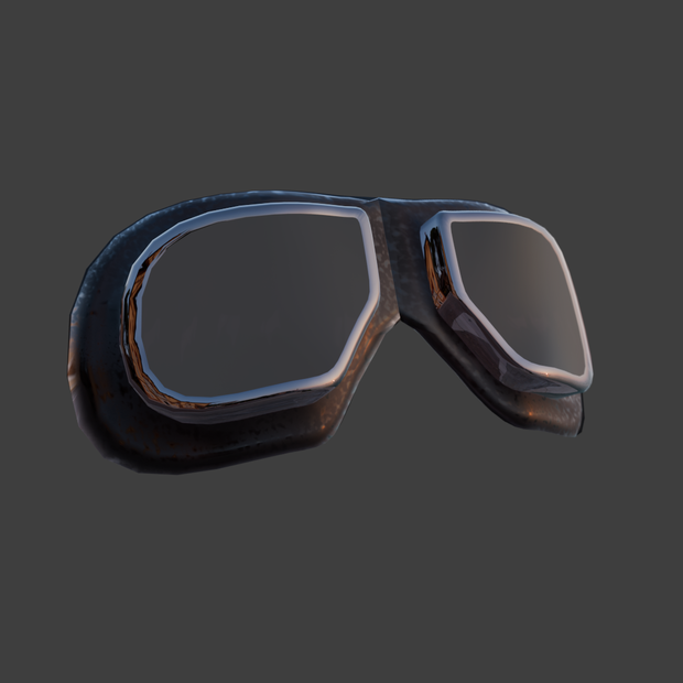 Pilot Goggles