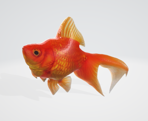 金魚