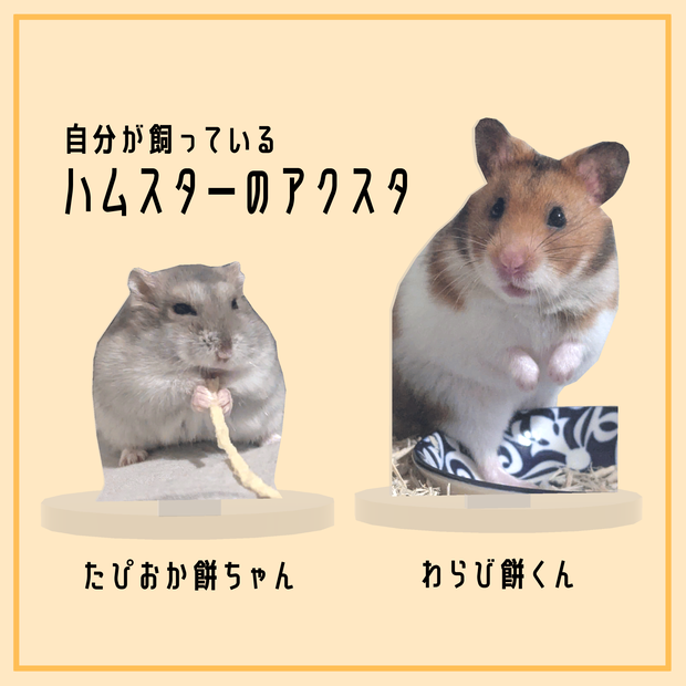 【無料】自分が飼っているハムスターのアクスタ　(VRC想定3Dモデル)