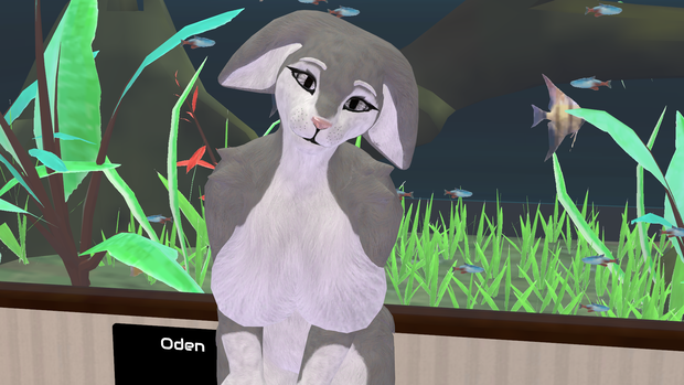 VRC - Bunny/Bunno
