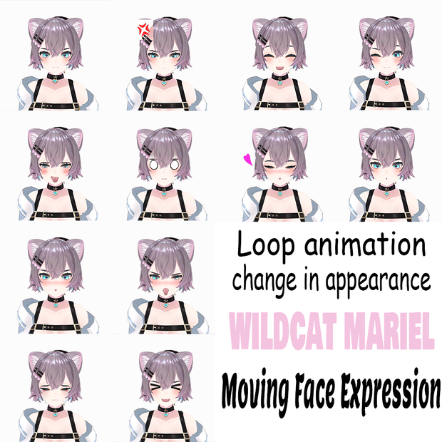 wildcat mariel FX/gesture/expression/change in appearance