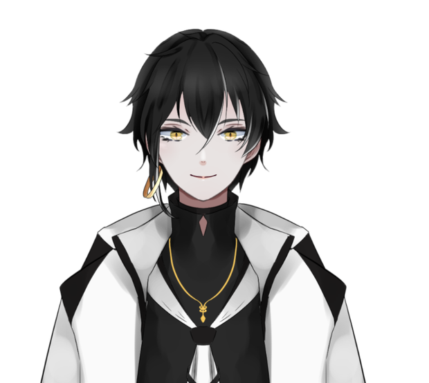 SIROKURO VTUBER (VTS/LIVE2D)