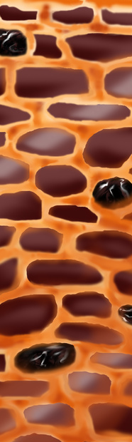 ちょこレンガブロック(レーズン入り)大  Choko brick block (with raisins) large