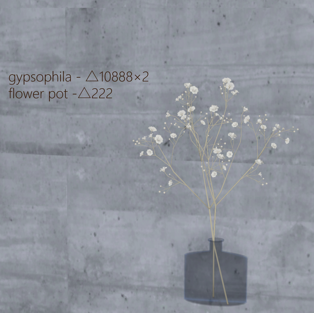 003. gypsophila - 3D