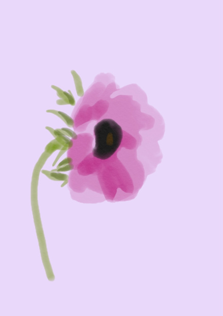 花。ポピー