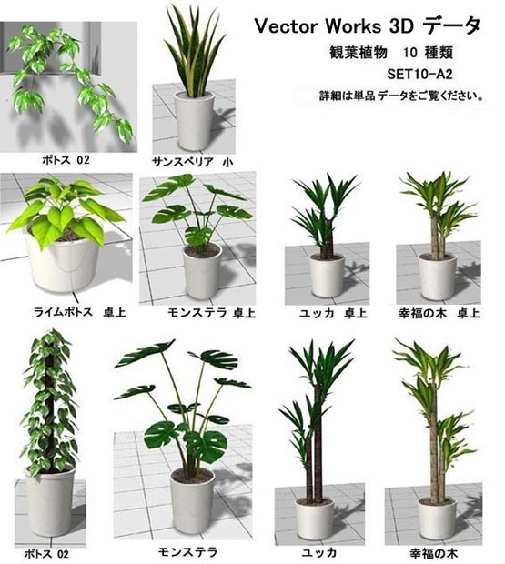 VectorWorks 観葉植物 A2 SET10  v10～v12.5・vw2014