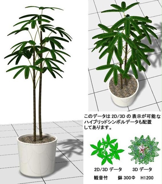 VectorWorks 観音竹 鉢植 v10～v12.5/vw2014