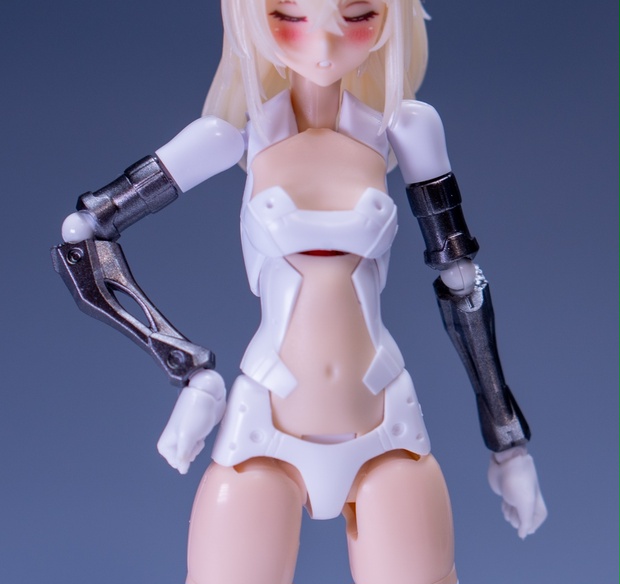 y*3様 白純工房　メガミデバイス　キャラクターカスタマイズセット　まとめ aea62930-aa83-4977-842f-
