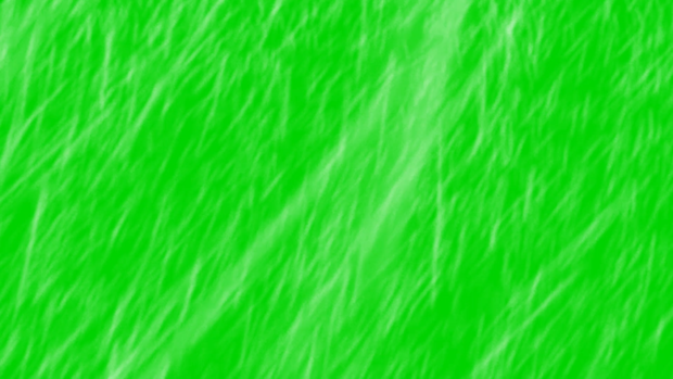 Snow Storm Footage Green Screen