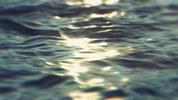 Evening Ocean