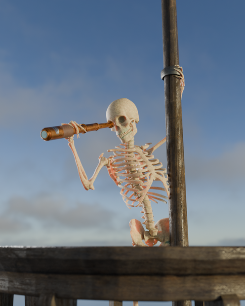 The Pirates Life