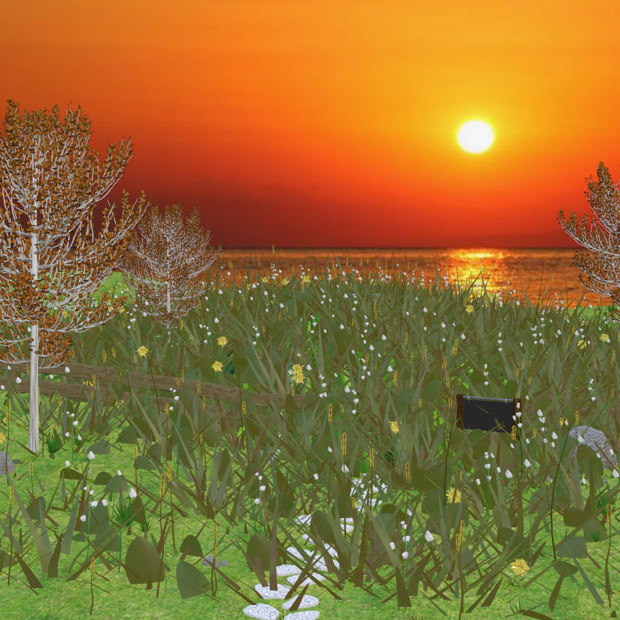 夕日のたんぽぽ畑　blender