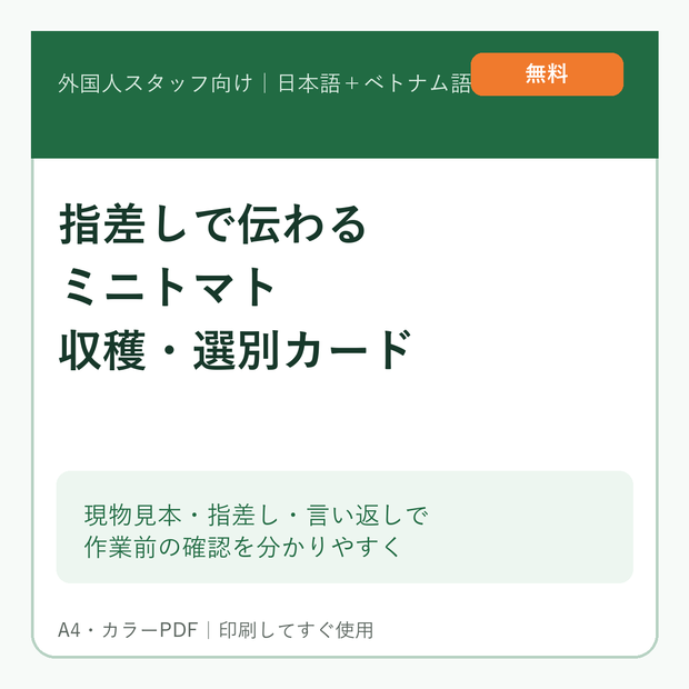 【無料・農場掲示PDF】外国人スタッフ向け ミニトマト収穫・選別カード｜やさしい日本語＋ベトナム語