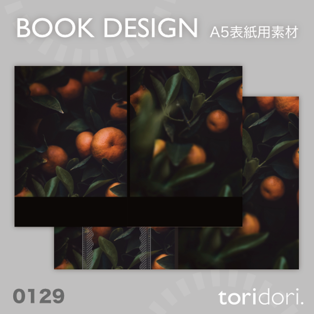 【A5】同人誌表紙素材【0129MY】