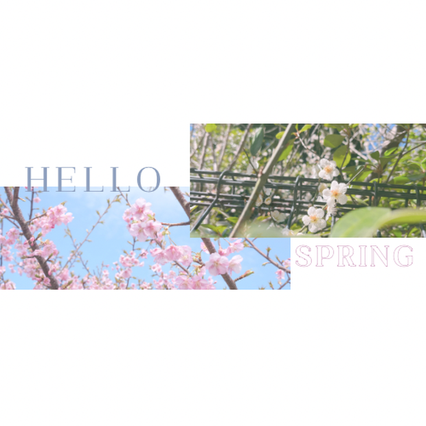 【無料】2023 spring collection