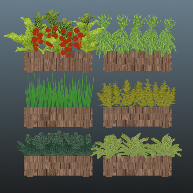 ３ｄモデル　　プランター　６個セット　葉　植物　草　茎　実