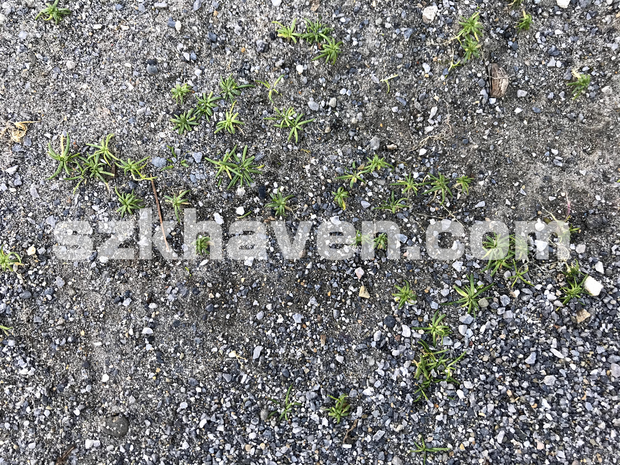 【Free有】砂02【texture/テクスチャ】