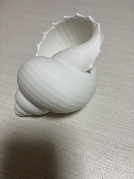 スパイラルほら貝｜3Dプリント用 高精細STLモデル