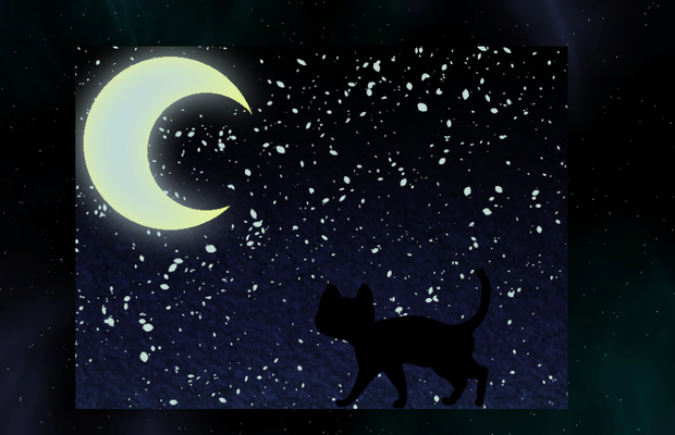 黒猫と月のチョコ