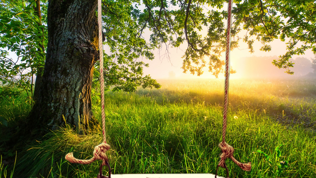 Swingset Stream Scene