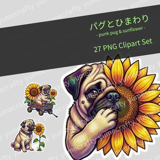 【背景透過PNG】パグとひまわり - punk pug & sunflower -  クリップアート・イラスト素材集（全27種セット）