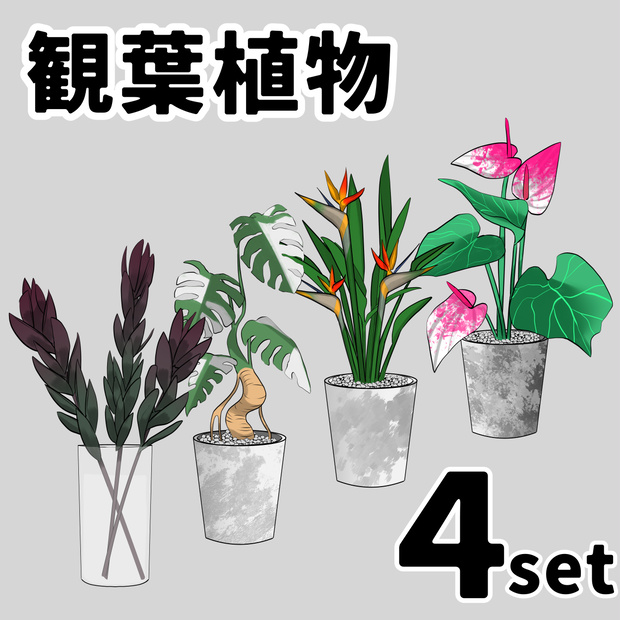 植物好きによる観葉植物イラスト4点セット 【配信素材／背景小物／透過PNG】